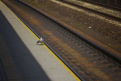 High angle view of train on railroad station platform