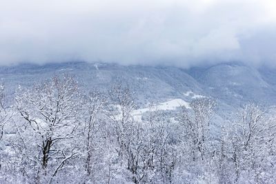 Snow covered landscape against sky