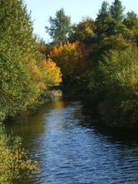 Scenic view of river with trees in background