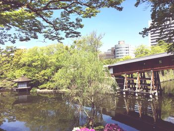 Bridge over river amidst trees and buildings against sky