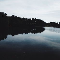 Reflection of trees in calm lake