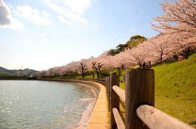 Scenic view of river against sky