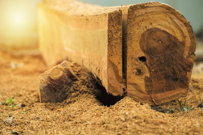 Closeup surface of the log while being saw in the factory with sawdust