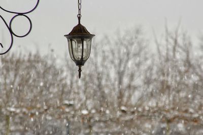 Close-up of snow covered bare trees