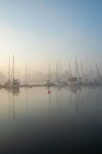 Sailboats in marina