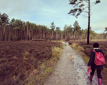 Rear view of woman with backpack walking on dirt road in forest