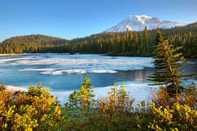 Scenic view of lake by trees against sky