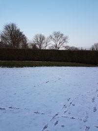 Scenic view of frozen lake against clear sky