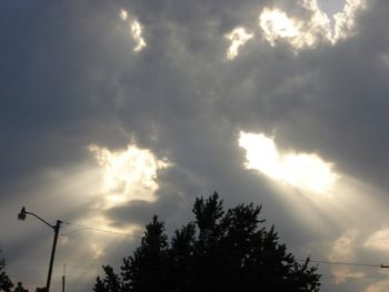 Low angle view of silhouette trees against sky during sunset