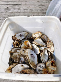 High angle view of shells in plate