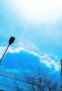 Low angle view of bare trees against blue sky