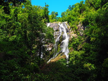 Waterfall in forest