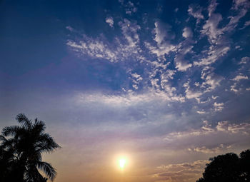 Low angle view of silhouette trees against sky during sunset