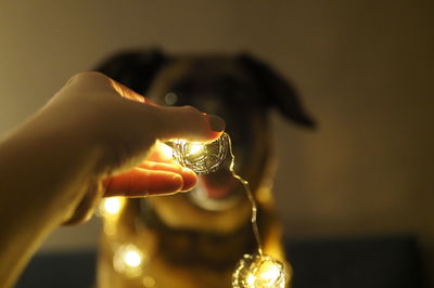 Close-up of hand holding illuminated candles