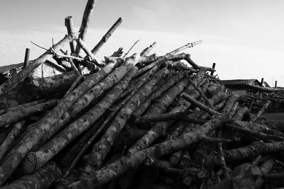 Close-up of stack of firewood