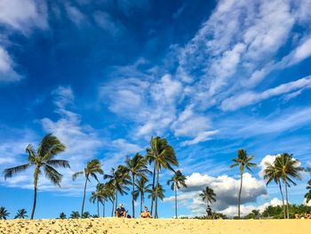 People relaxing on beach against palm trees 