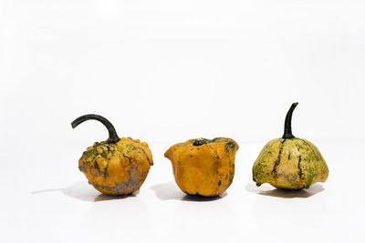 Close-up of pumpkins against white background