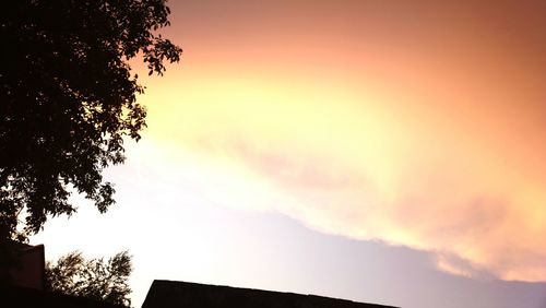 Silhouette of trees at sunset