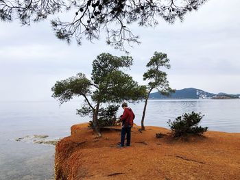 Mature man standing on cliff by sea against sky