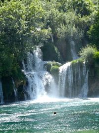 Scenic view of waterfall in forest