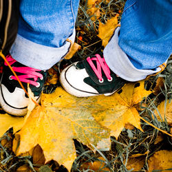 Low section of person standing on autumn leaves