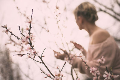 Woman amongst cherry blossoms