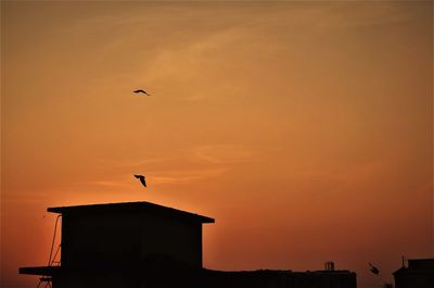 Silhouette bird flying over city against sky during sunset