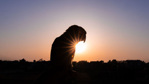 Silhouette person against sky during sunset