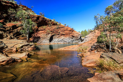 Scenic view of river amidst trees against clear sky