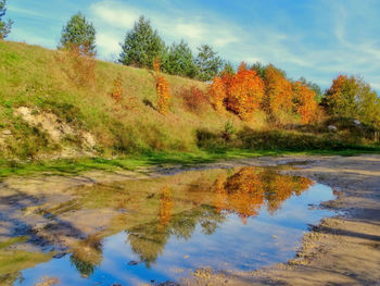 Reflection of trees in lake against sky