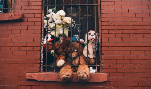 Stuffed toys in window of brick wall