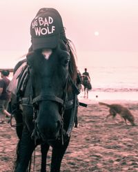 Horse in the sea