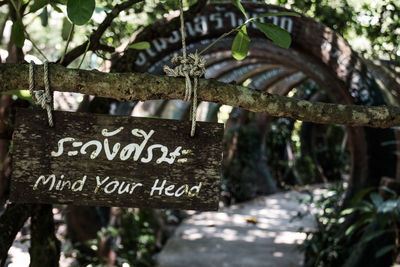 Close-up of warning sign hanging from branch in garden