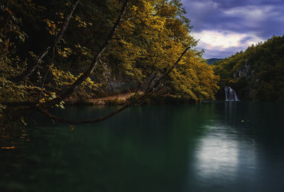 Scenic view of lake in forest against sky