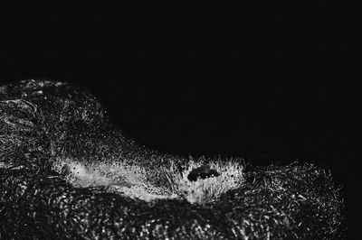 Close-up view of black background