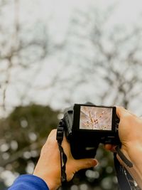 Close-up of hand photographing with mobile phone