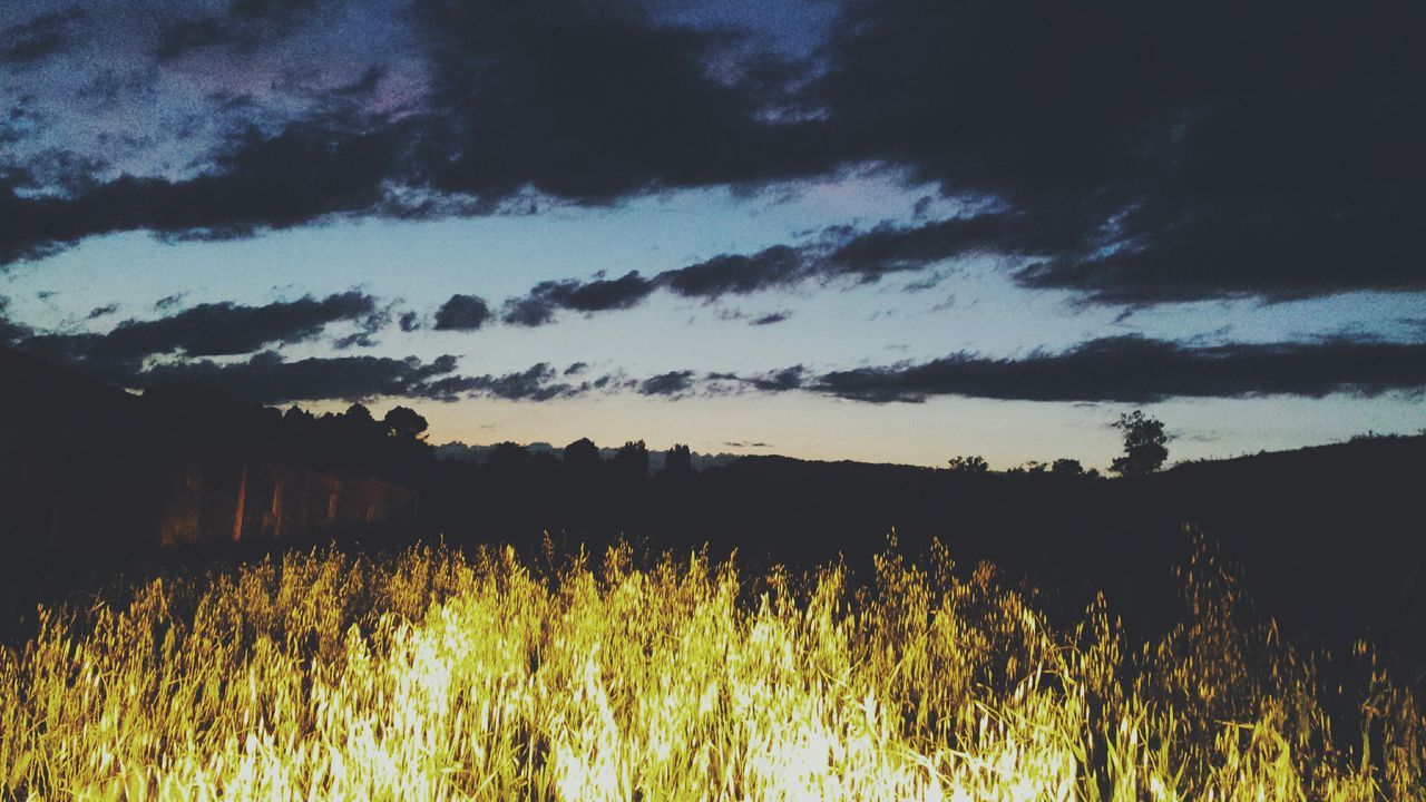 sky, tranquility, tranquil scene, cloud - sky, scenics, beauty in nature, silhouette, nature, plant, water, sunset, lake, cloudy, cloud, growth, grass, dusk, landscape, idyllic, tree