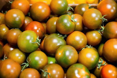 Full frame shot of unripe tomatoes