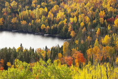 Scenic view of lake in forest during autumn