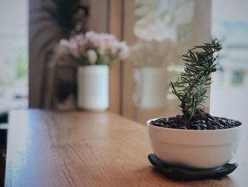 Close-up of potted plant on table at home