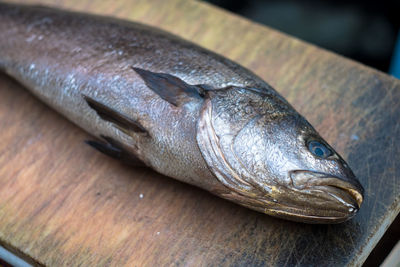 Close-up of fish on table