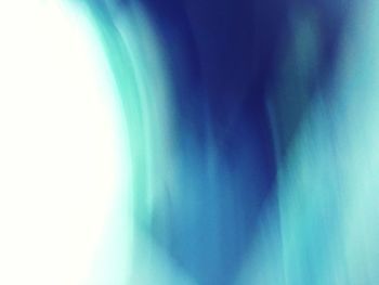 Close-up of tree against sky