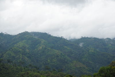 Scenic view of trees and mountains against sky