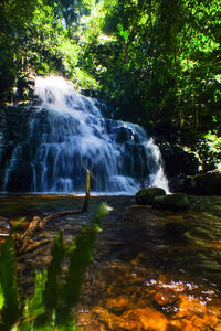 Scenic view of waterfall in forest