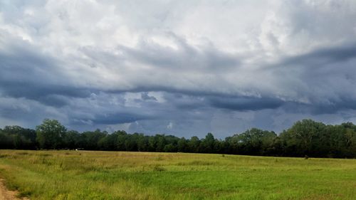 Scenic view of grassy field against cloudy sky