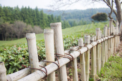 Wooden fence on field