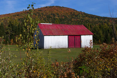 Fall landscape with old red and white old wooden barn set against the laurentian mountains