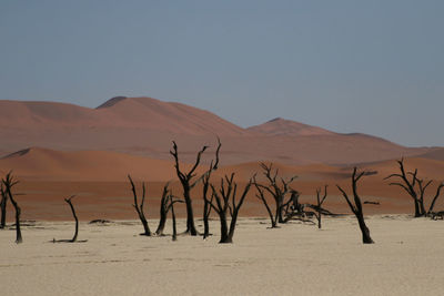 Scenic view of desert against clear sky