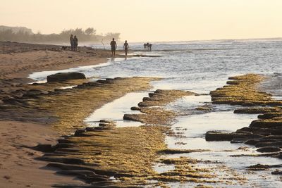 Scenic view of beach against clear sky