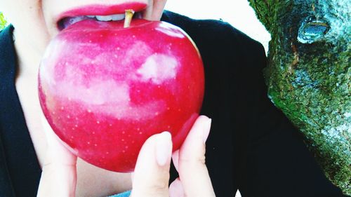 Close-up of cropped hand